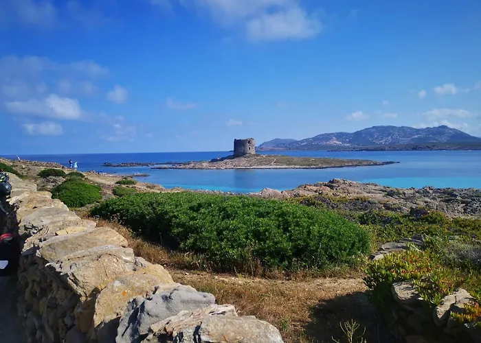 Villa Maga